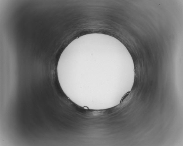 X0000101460184200807281007