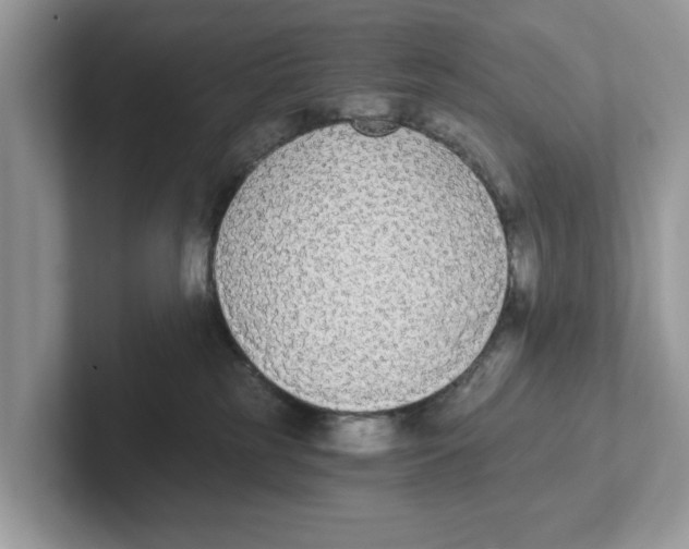 X0000101460185200807281007