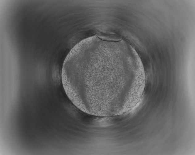 X0000101460186200807281007