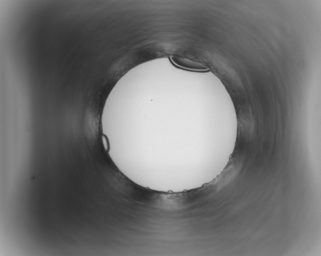 X0000101460188200807281007