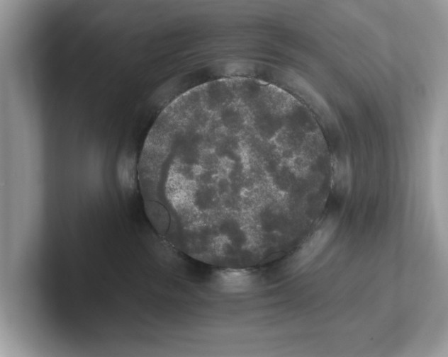 X0000101460189200807281007