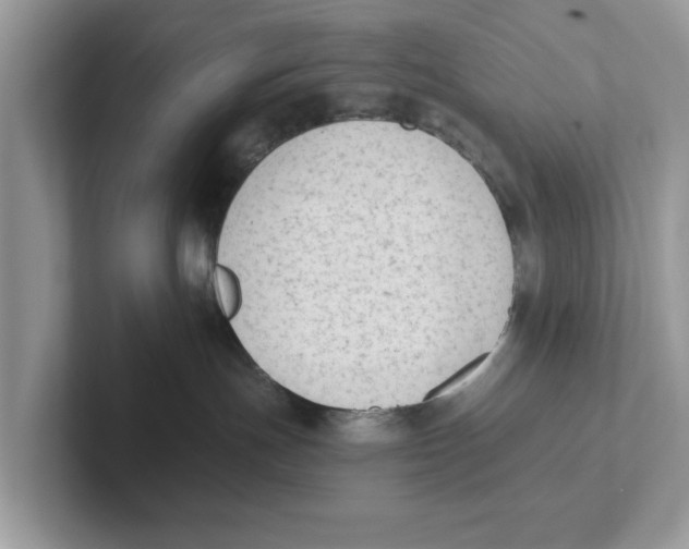 X0000101460191200807281007