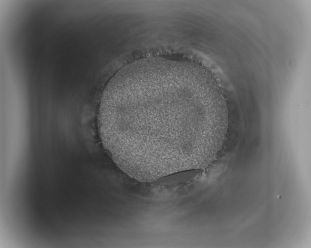 X0000101460192200807281007