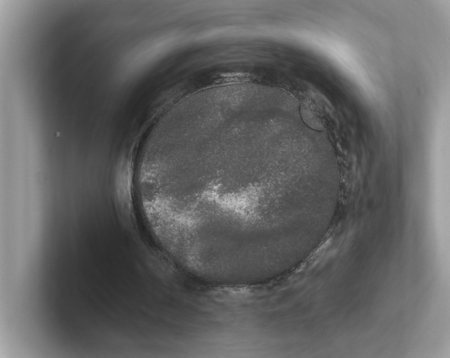 X0000101460194200807281006