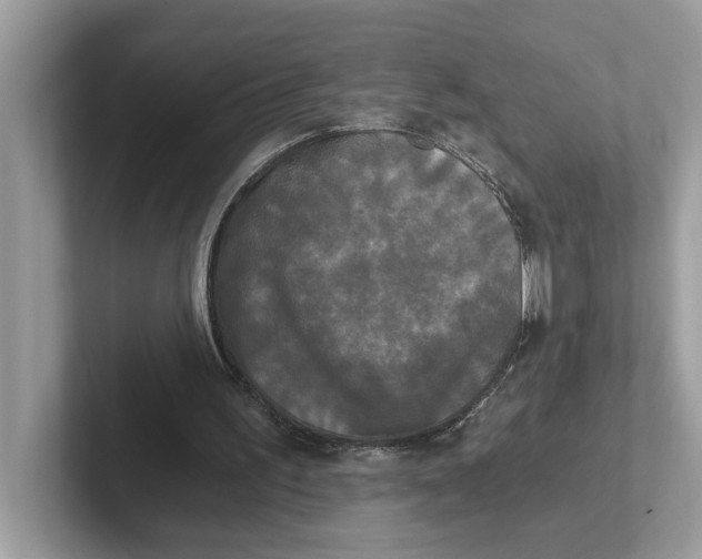 X0000101460195200807281006