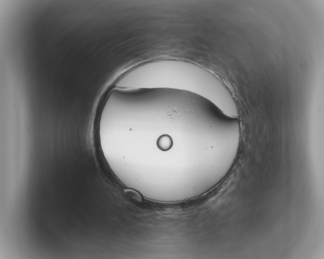 X0000101460196200807281006