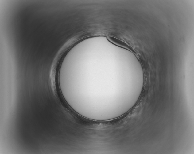 X0000101460197200807281006