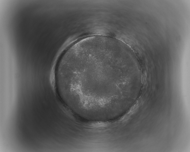 X0000101460198200807281006