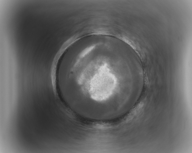 X0000101460199200807281006