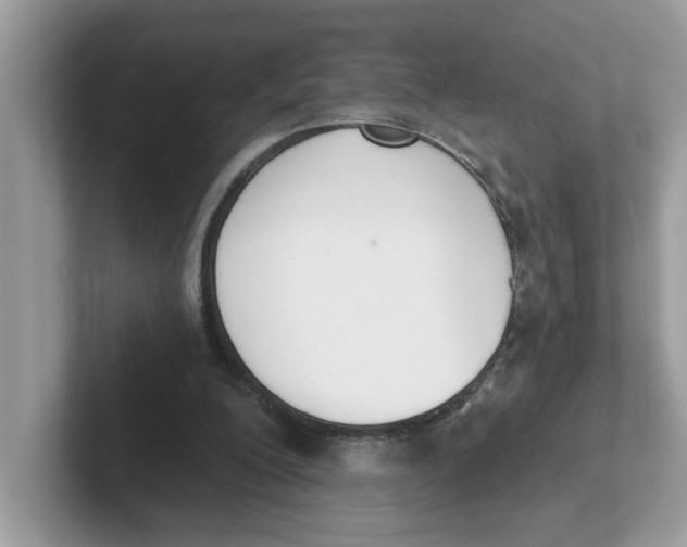 X0000101460200200807281006