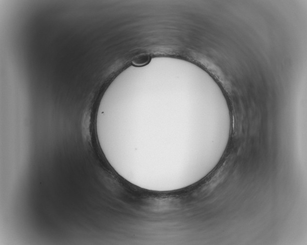 X0000101460201200807281006