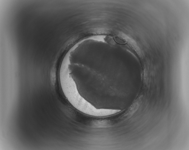 X0000101460202200807281006