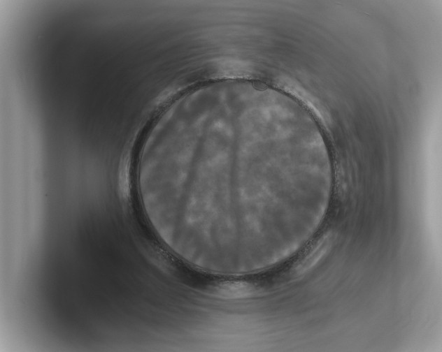 X0000101460203200807281006