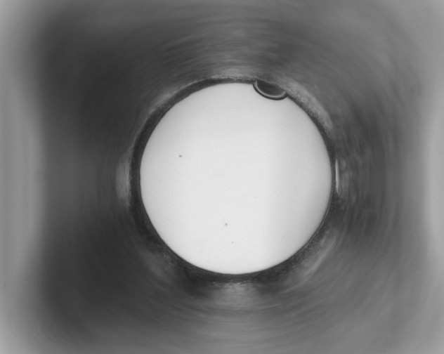 X0000101460204200807281006