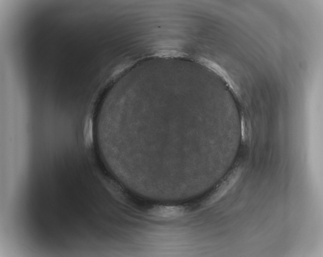 X0000101460205200807281006