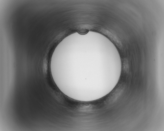 X0000101460206200807281006