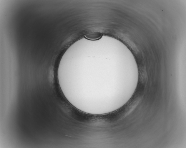 X0000101460207200807281006