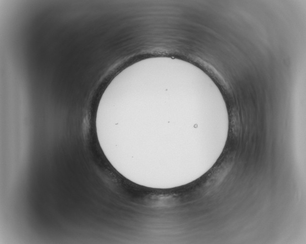 X0000101460208200807281006