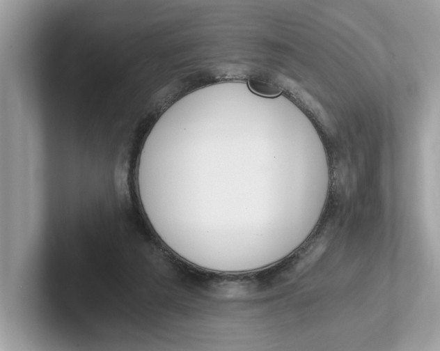 X0000101460209200807281006