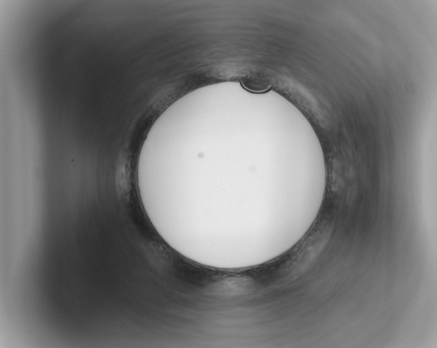 X0000101460210200807281006