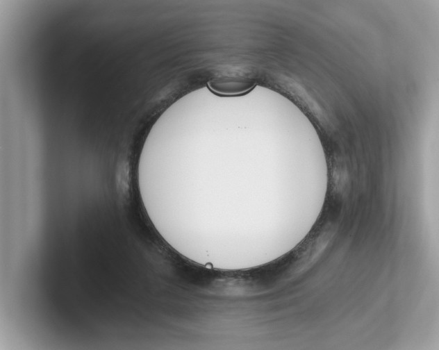 X0000101460211200807281006