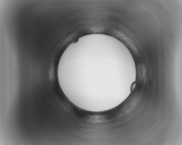 X0000101460212200807281006