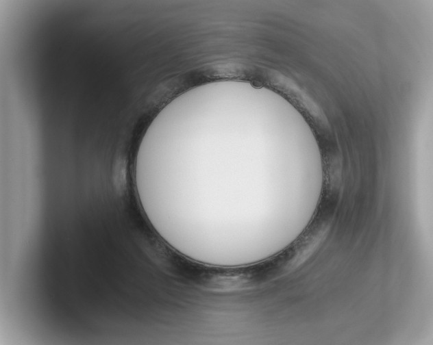 X0000101460213200807281006