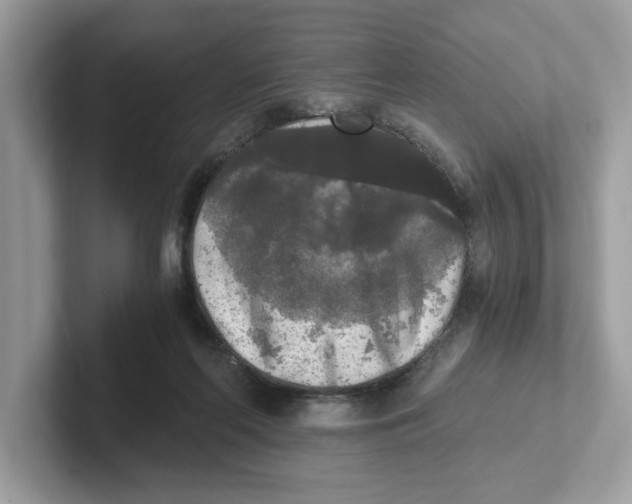 X0000101460214200807281006