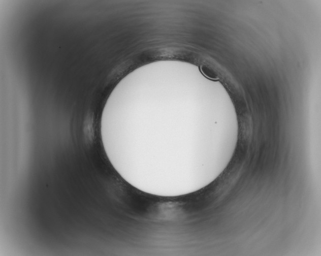 X0000101460216200807281006