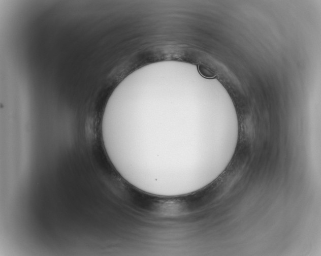 X0000101460218200807281006