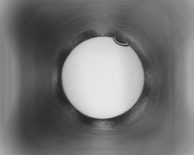 X0000101460221200807281006