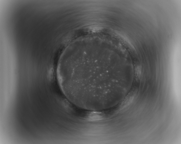 X0000101460222200807281006