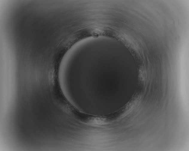 X0000101460223200807281006