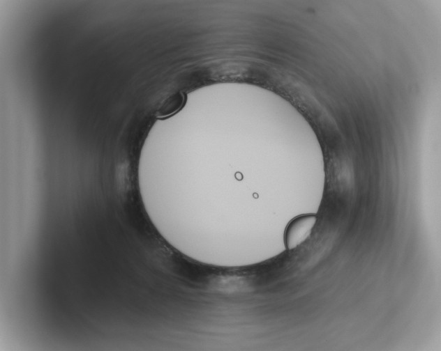 X0000101460224200807281006