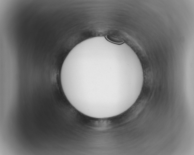 X0000101460225200807281006