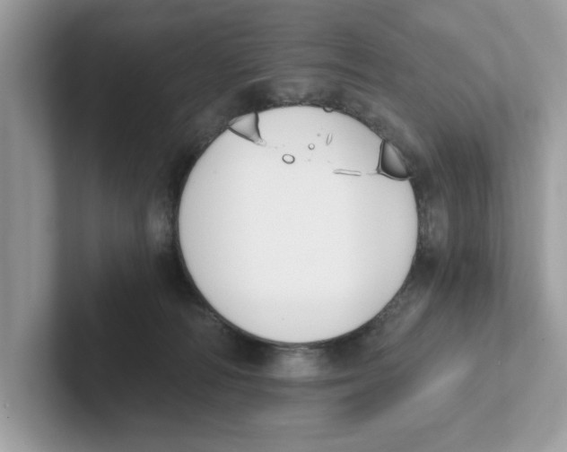 X0000101460226200807281006