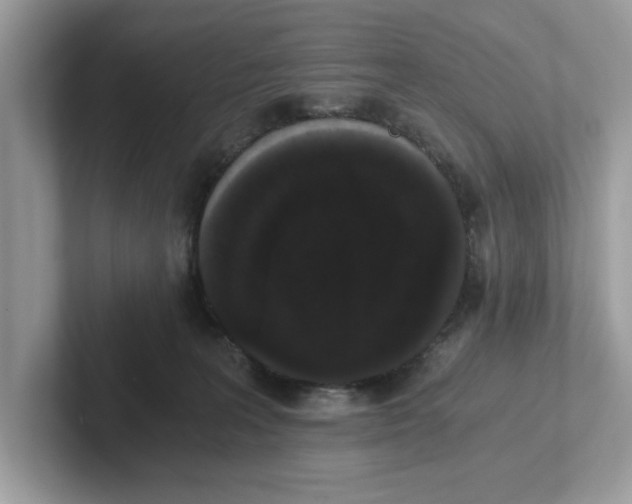 X0000101460227200807281006