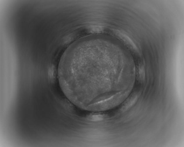 X0000101460228200807281006