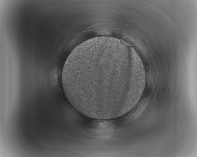 X0000101460229200807281006