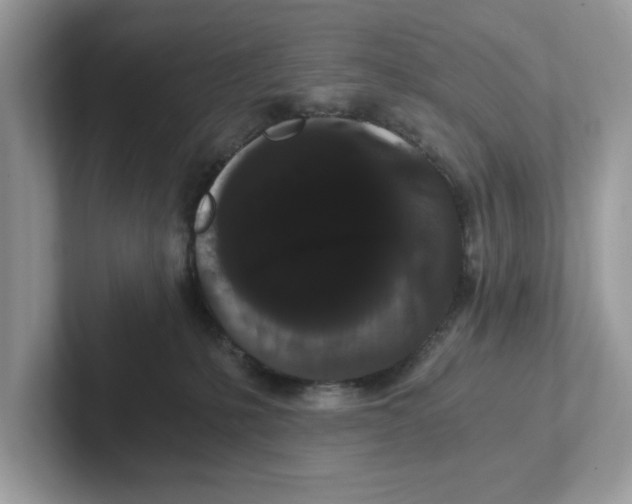 X0000101460231200807281006