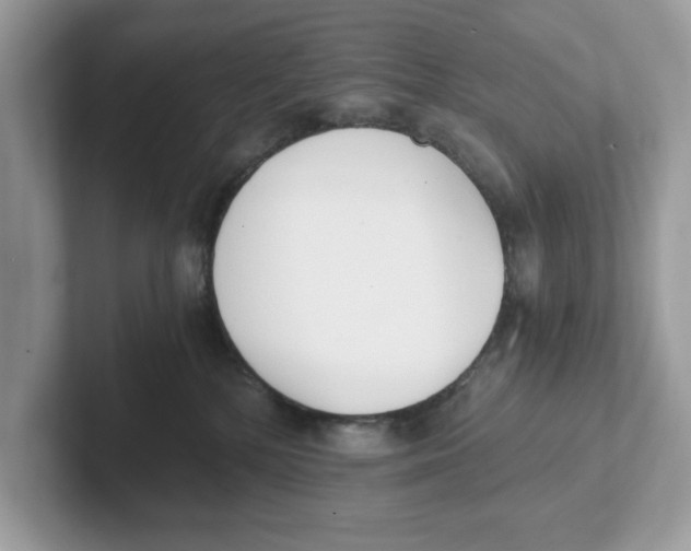 X0000101460232200807281006