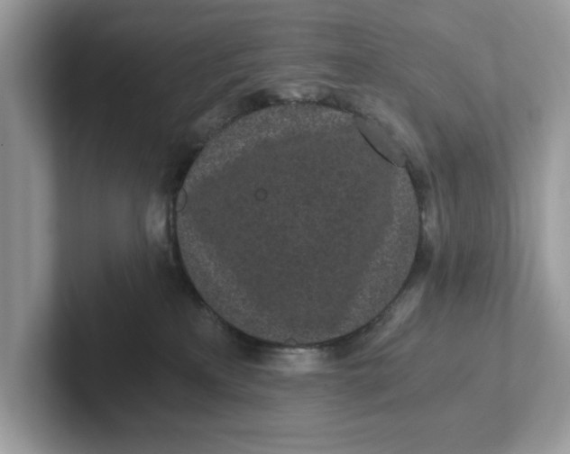 X0000101460233200807281006