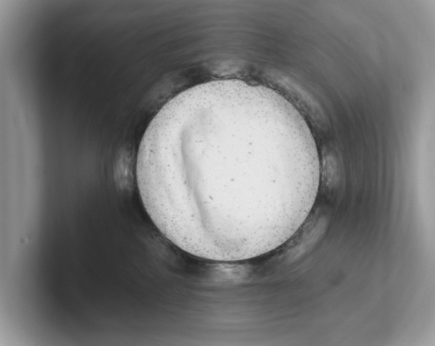 X0000101460234200807281006