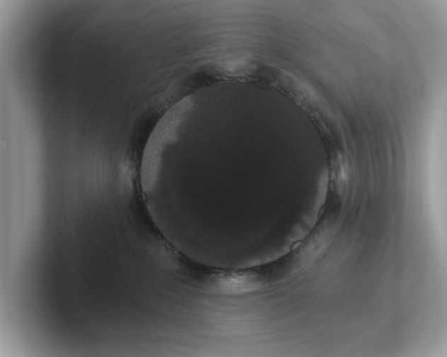 X0000101460235200807281006