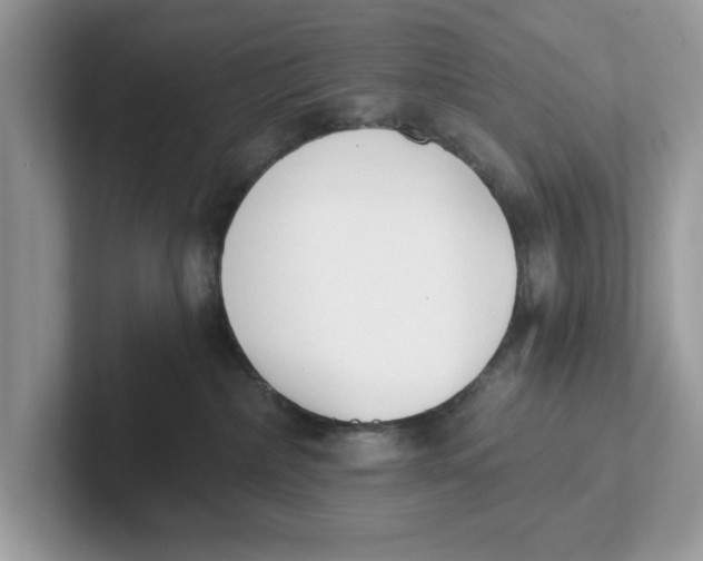 X0000101460236200807281006