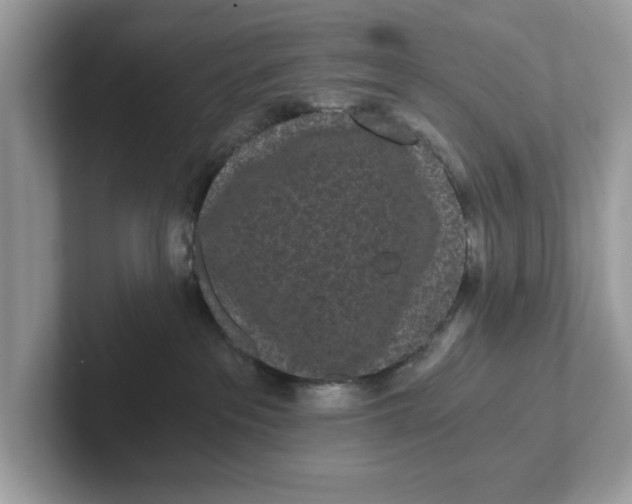 X0000101460237200807281005