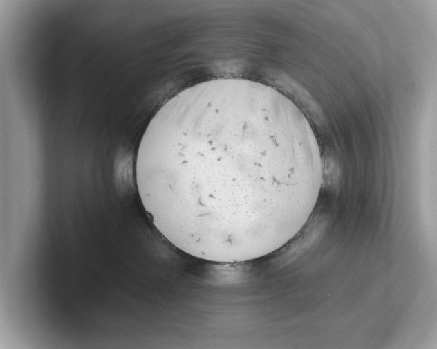 X0000101460238200807281005