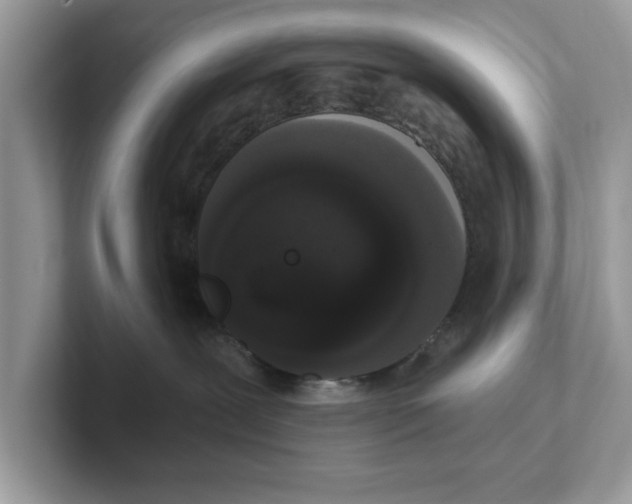 X0000101460239200807281005