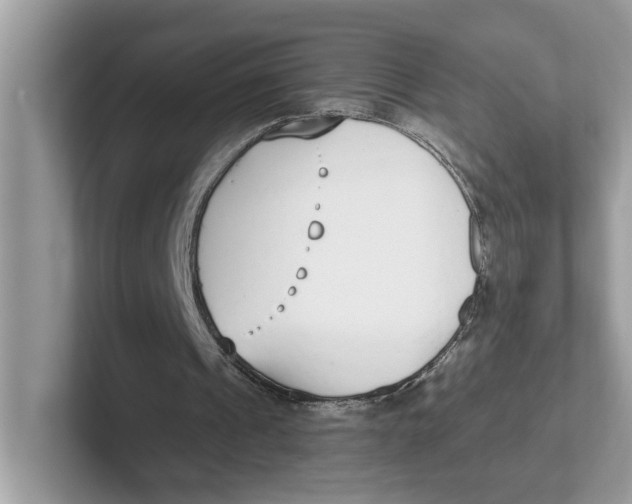 X0000101460241200807281005