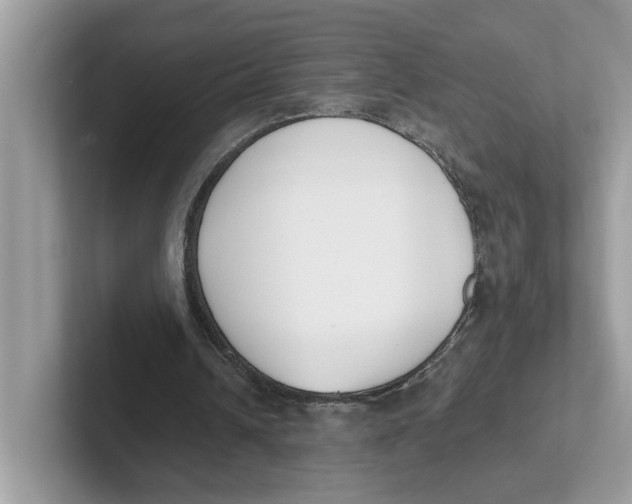 X0000101460242200807281005